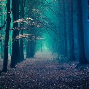 Meet your Posher, Colette